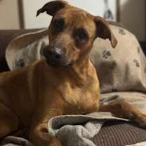Thumbnail photo of Bonnie #2