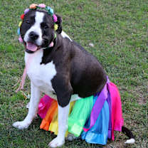 Thumbnail photo of Punky Brewster #1