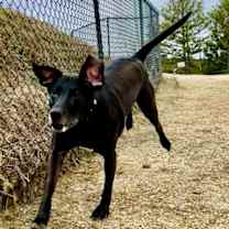Thumbnail photo of Cash #1