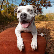 Thumbnail photo of Natasha #1