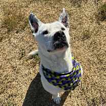 Thumbnail photo of Graham #2
