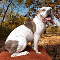 Thumbnail photo of Natasha #2