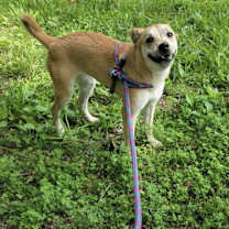 Thumbnail photo of Tori #1