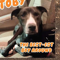 Thumbnail photo of Toby #1