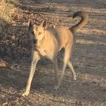 Thumbnail photo of Diego #4