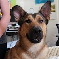 Thumbnail photo of Bodie #1
