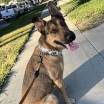 Thumbnail photo of Bodie #2