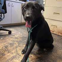 Thumbnail photo of Abbey #2