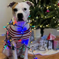 Thumbnail photo of Marsha #1