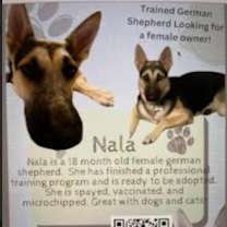 Thumbnail photo of Nala Stacy #2
