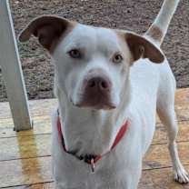 Thumbnail photo of Boo #1