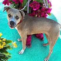 Thumbnail photo of Sandra Dee "Sandy" #1