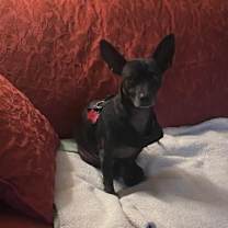 Thumbnail photo of Casper #1
