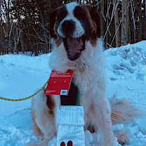 Thumbnail photo of Latigo #2