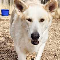 Thumbnail photo of Tessa #1