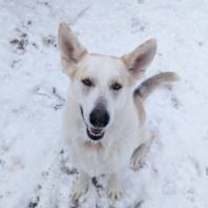 Thumbnail photo of Tessa #2