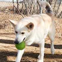 Thumbnail photo of Tessa #4
