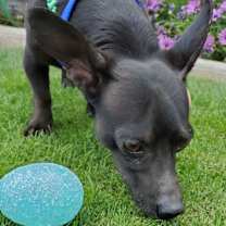 Thumbnail photo of Bruce Wayne #2