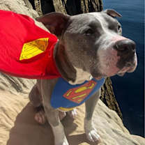 Thumbnail photo of Clark #2