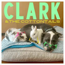 Thumbnail photo of Clark #3