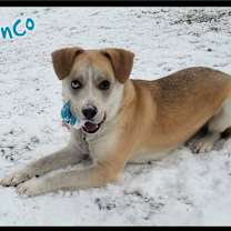 Thumbnail photo of Cinco #1