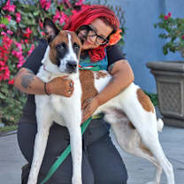 Thumbnail photo of Zeus #2