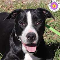 Thumbnail photo of Bo #1