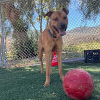 Thumbnail photo of Travis #3