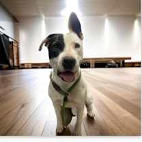 Thumbnail photo of Genevieve #2
