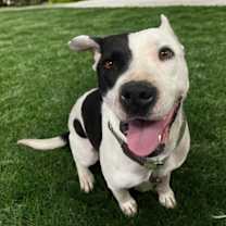 Thumbnail photo of Genevieve #3