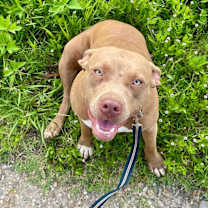 Thumbnail photo of Lil Anne Mae #1