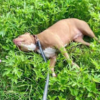 Thumbnail photo of Lil Anne Mae #2