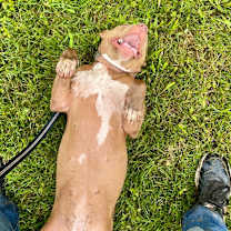 Thumbnail photo of Lil Anne Mae #3