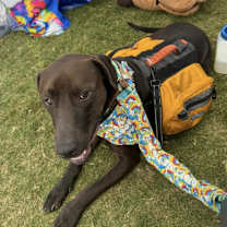 Thumbnail photo of Dave #4