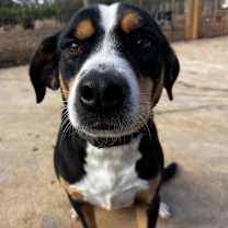 Thumbnail photo of Spot #1
