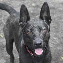 Thumbnail photo of Gemma #1