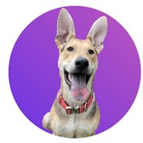 Thumbnail photo of Stuart #1