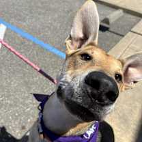 Thumbnail photo of Stuart #2