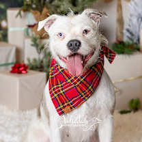 Thumbnail photo of Winnie #1