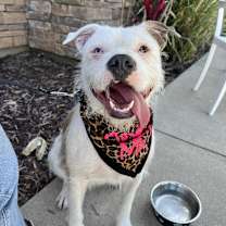 Thumbnail photo of Winnie #2