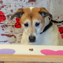 Thumbnail photo of Donnie #2