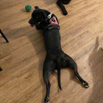 Thumbnail photo of Little Bit #2