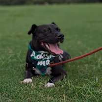 Thumbnail photo of Aiden #2