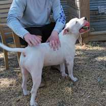 Thumbnail photo of Max Cooper #2
