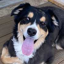 Thumbnail photo of Littleman #1