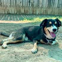 Thumbnail photo of Littleman #3