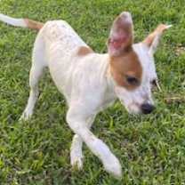 Thumbnail photo of Willa #3