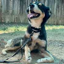 Thumbnail photo of Littleman #4