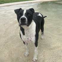 Thumbnail photo of Betty #3