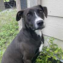 Thumbnail photo of Grace #3